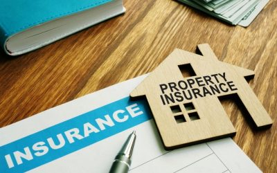 What Does Personal Property Damage And Theft Insurance Cover?